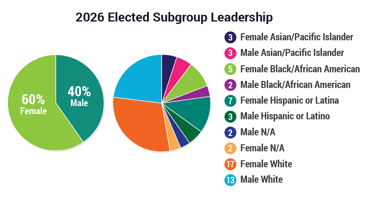2026 Subgroup Leadership.png